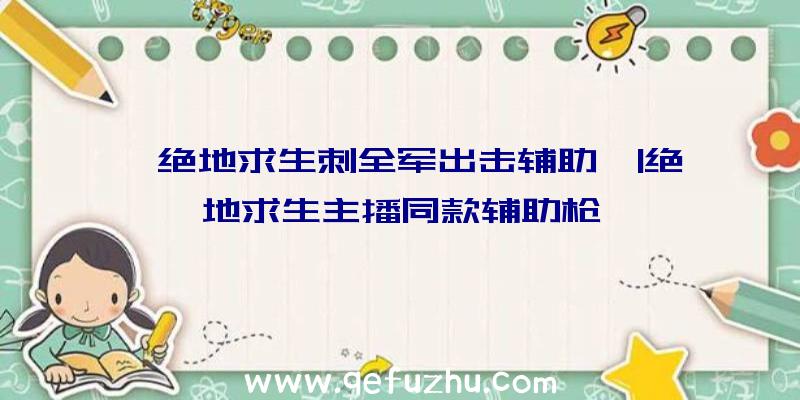 「绝地求生刺全军出击辅助」|绝地求生主播同款辅助枪